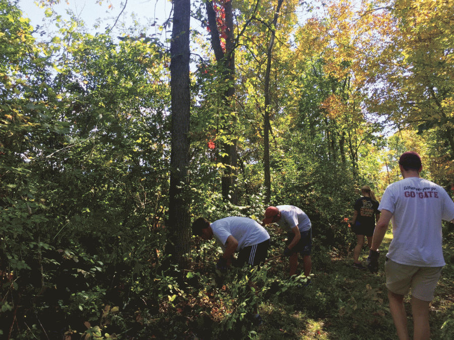 Students came together on service projects like trail-clearing throughout Madison County in remembrance of 9/11. 