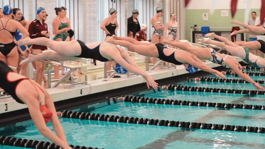 The women’s swim team opened up the 2017-2018 season at home against the Loyola Greyhounds. Despite strong efforts from all corners of the team, Colgate was unable to come out of the meet with a win.  