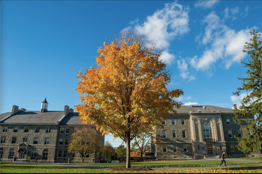 Colgate Introduces New Academic Minor in Global Public and Environmental Health