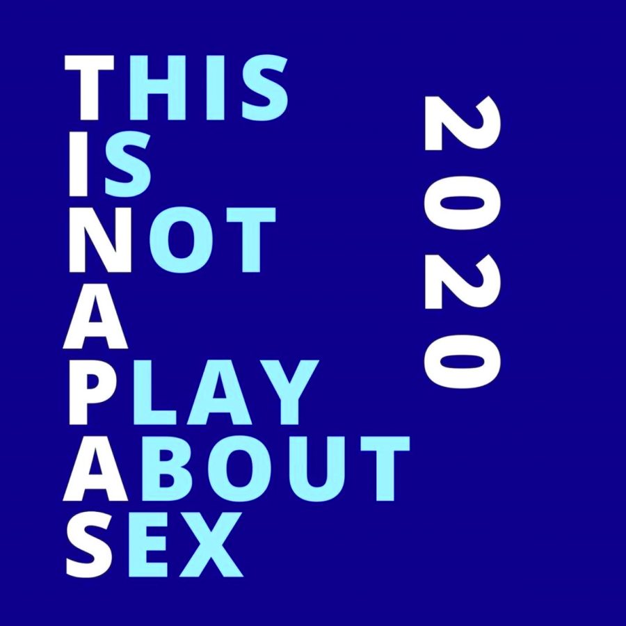 This is Not an Article About Sex: Activism through Theatre