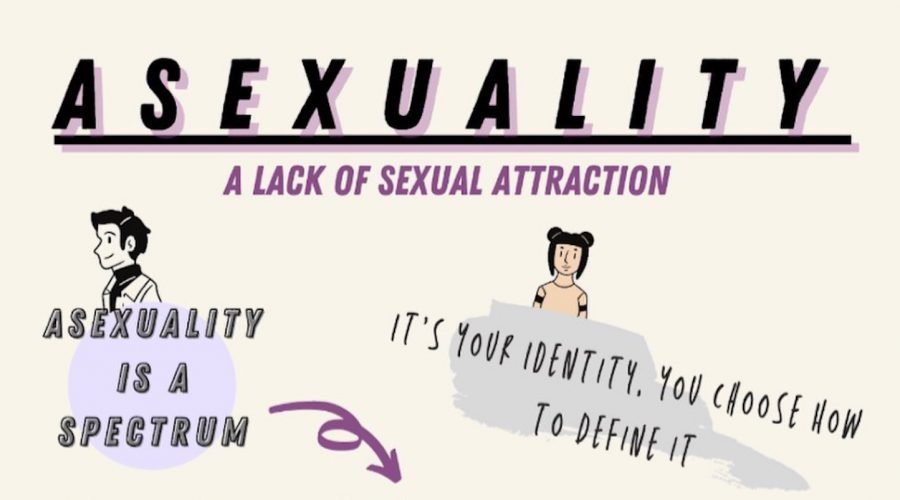 Womens Studies Intern Starts “Unpacking Asexuality” Blog