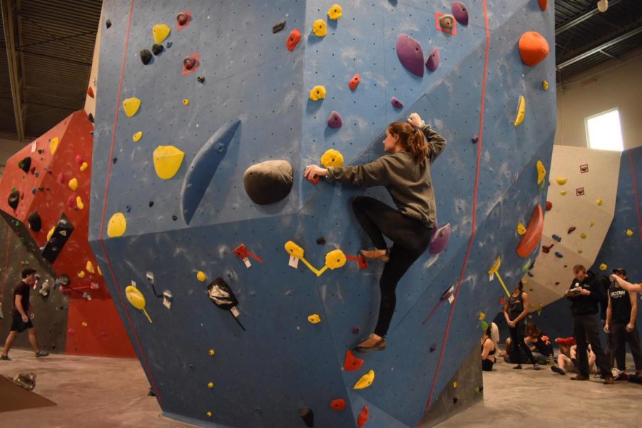 Finding Family and Calm Through the Rock Wall