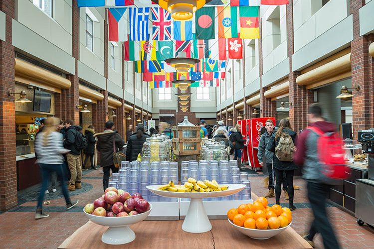 A Perpetual Let-down: The Shortcomings of Frank Dining Hall