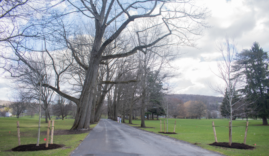 Oak+Drive+Restoration%2C+Expansion+Closes+the+Tree-Lined+Road+Sporadically+Throughout+April