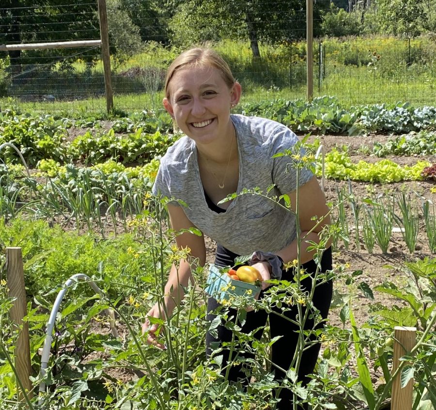 A Sustainable Summer: Colgates Community Garden
