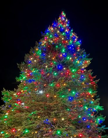 Annual ‘Night of Lights’ Tree Lighting Ceremony Brings Holiday Cheer to Hamilton