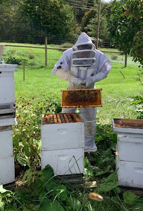 Buzzing News on Beekeeping Club