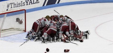 Hockey and Basketball Teams Compete in the Postseason