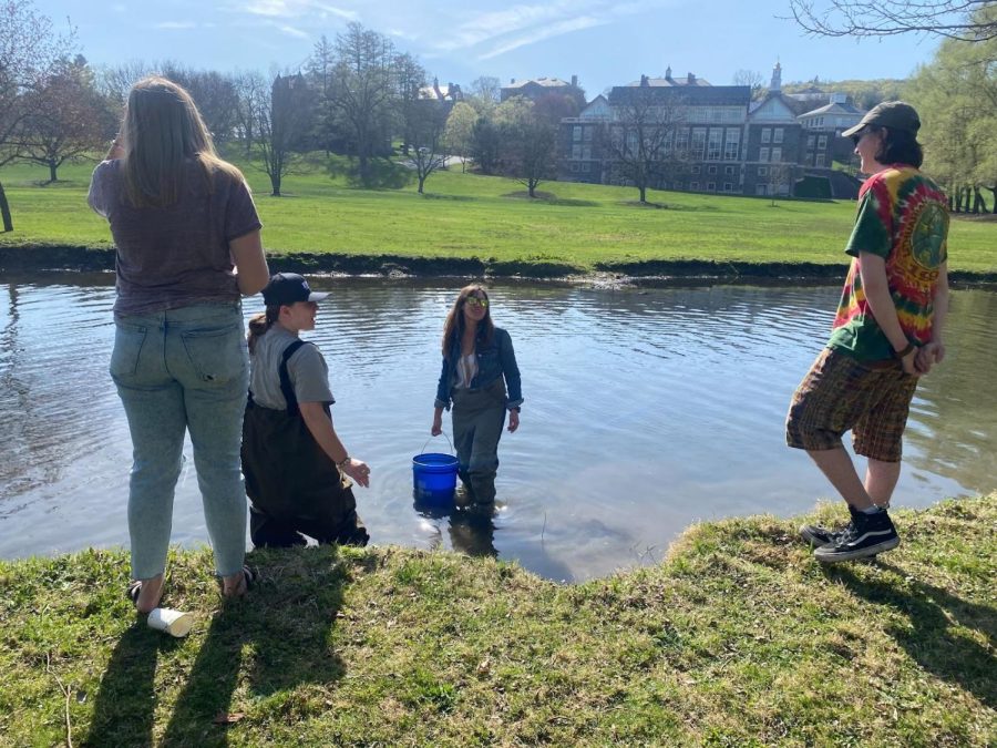 Colgate Graduate Students Grow and Release Trout as Part of Teaching Program