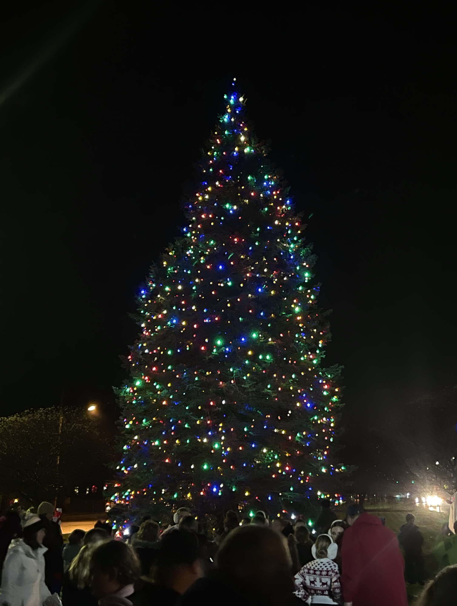 Annual Hamilton Tree Lighting Kicks off December