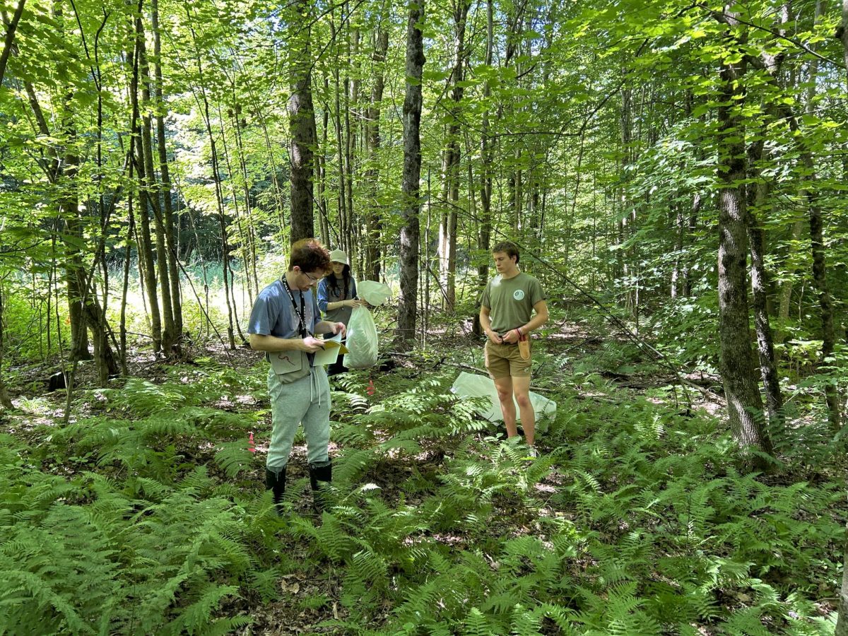 Jack Antonson: Uncovering Insights into Fern Adaptability and Soil Ecology