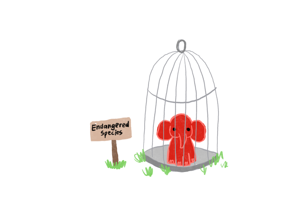 Graphic by Saylor Hark