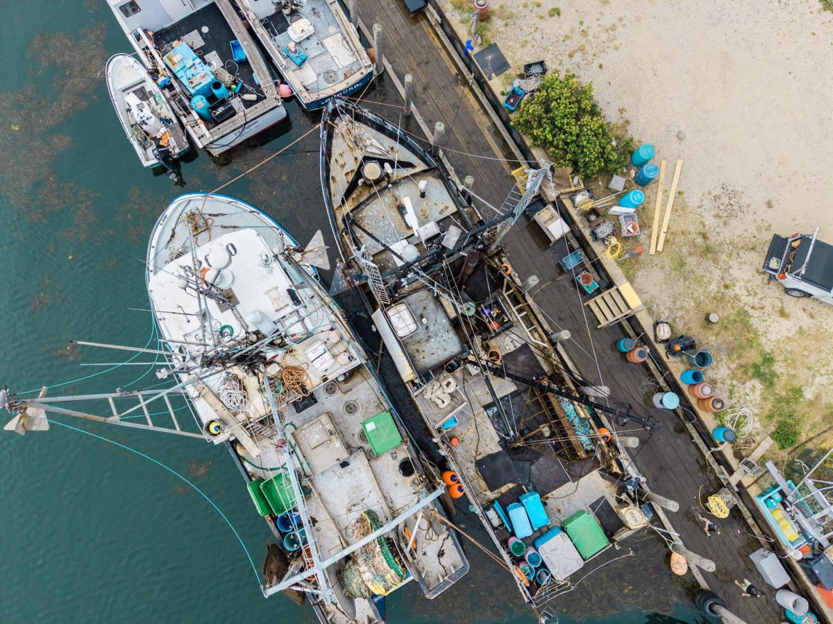 From Waves to Frames With Graham Stearns' Upislandphoto