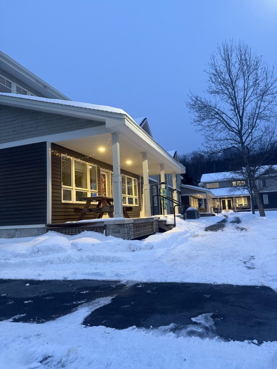 Exploring The Great Housing Divide: Townhouses vs. Apartments