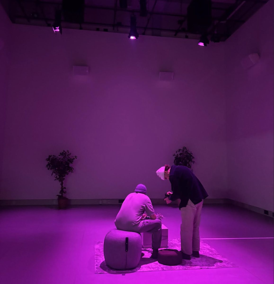 EchoScape Innovation Explores Digital Mindfulness
